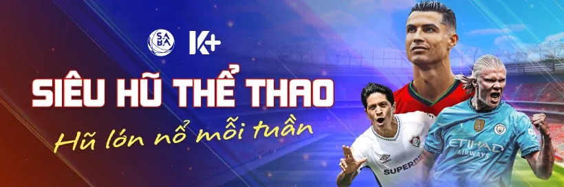 Hình ảnh minh họa các loại hình cá cược thể thao đa dạng tại vsbet, bao gồm bóng đá, bóng rổ, tennis và Esport.